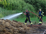 Prio 2 Berm Ruigte Brand De Miedwei Twijzel